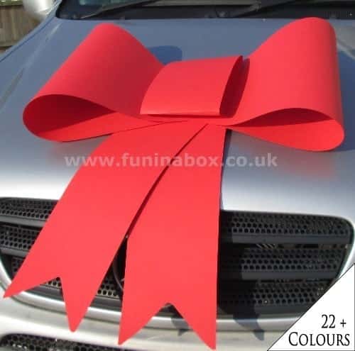 Big Red Shoelace Style Bow in Card