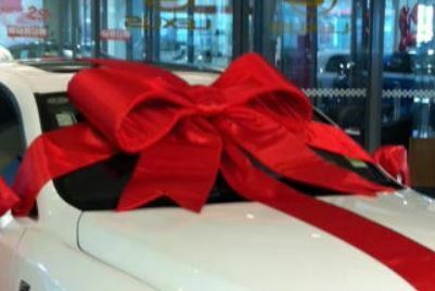 Car Bows – King Size Bows