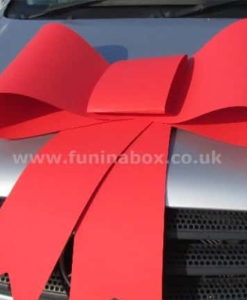 Big Card Car Bow & Ribbon Pack