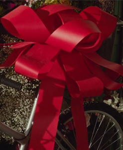 Red Plastic Rosette Bow