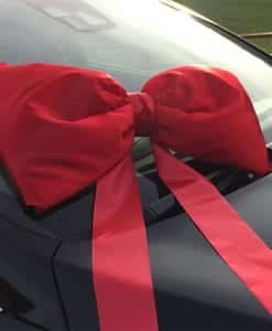 Red Shoelace Bow 50cm