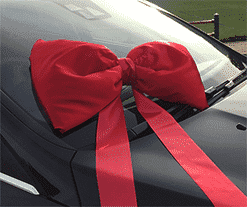 All Car Bows