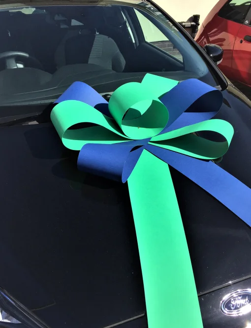 blue and green bonnet car bow