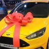 Big Car Bonnet Bow