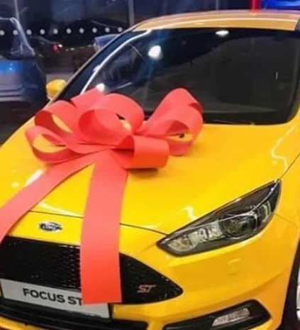 Big Car Bonnet Bow