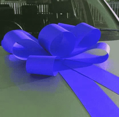 Bright-Blue-Bonnet-Card-Bow