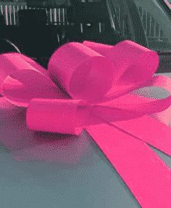 Bright-Pink-Bonnet-Card-Bow