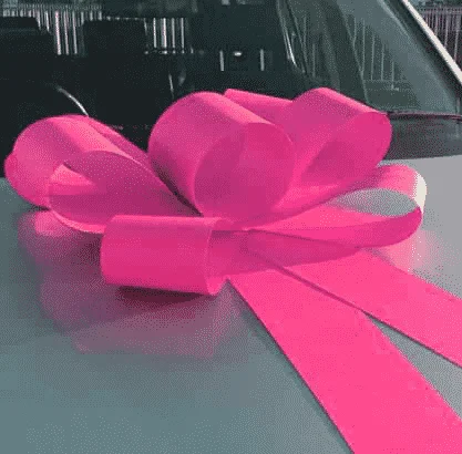 Bright-Pink-Bonnet-Card-Bow
