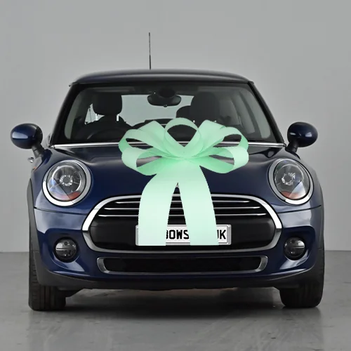 Big Car Bonnet Bow Pistachio