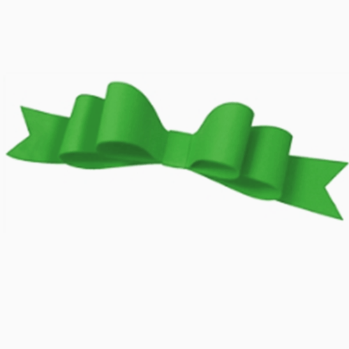 Green Double Looped Card Bow