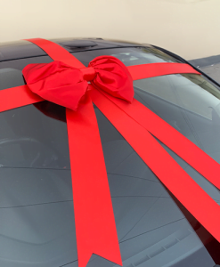 Big Red Padded Ribbon Car Bow