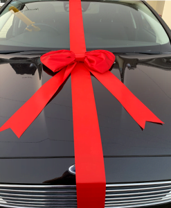 Big Red Padded Ribbon Car Bow