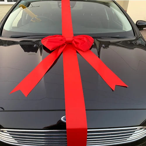 Big Red Padded Ribbon Car Bow
