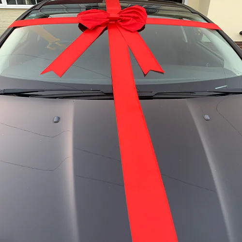 Big Red Padded Ribbon Car Bow