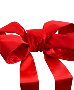 Big Ribbon Car Bow