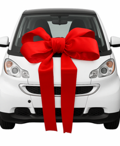 Big Ribbon Car Bow