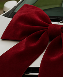 Alternative view of Red Velvet Big Car Bow